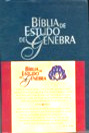 Bíblia Sagrada de Estudo (Genebra)