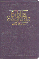 Bíblia Sagrada (Letra Grande)